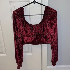 Altar’d State Velvet Cropped Long Sleeve Top